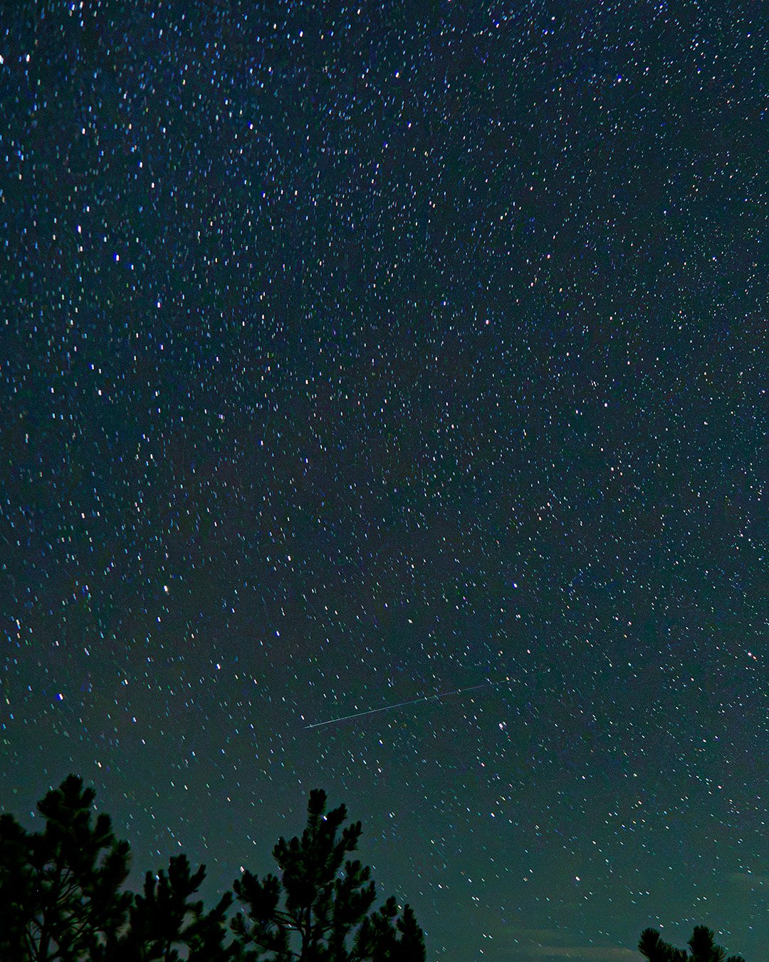 perseid 1